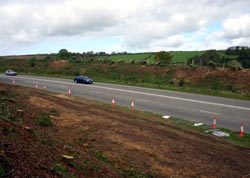 Looking North west by Looe Mills side road