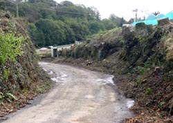 Looe Mills side road