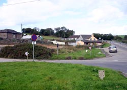 Looe Mills - looking West towards Dobwalls