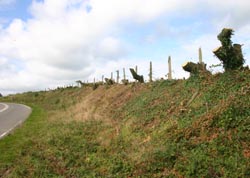 The otherside of the road looking west