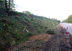 Looking west above Lantoom quarry layby