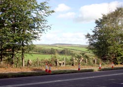 Breaking through the hedge - Caradon Hill is on the Horizon