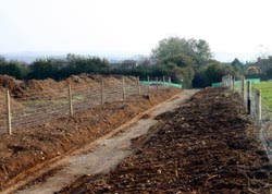 Coldwinds lane looking South