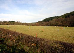 Looe Mills - Pegging out the attenuation ponds