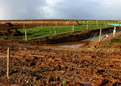 Works access accross Coldwinds Lane