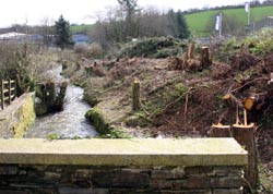 A38 - East Looe River