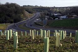 A38 looking east over Moorswater