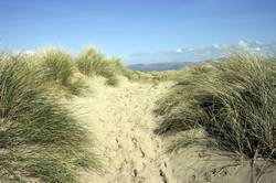 Ynyslas nature reserve