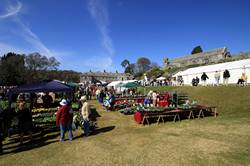 Boconnoc spring flower show