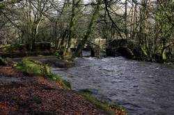 River Fowey at Draynes Bridge