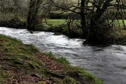 River Fowey at Draynes Bridge