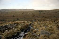 Devonport Leat - Raddick Hill