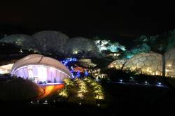 Eden biomes at night