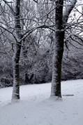 Treheath estate in the snow