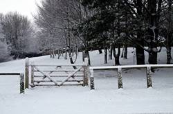 Treheath estate in the snow