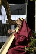 Harpist in the Rose garden