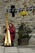 Harpist in the Rose garden