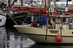 Sutton harbour