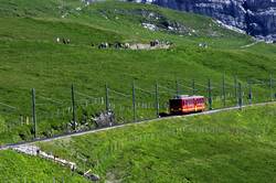 Jungfrau Railway climbs to the station at Eigergletscher