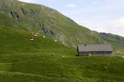 Schreckfeld from the First Gondela Cableway