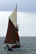 Looe Lugger Regatta