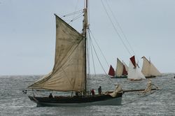 Looe Lugger Regatta