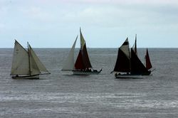 Looe Lugger Regatta