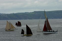 Looe Lugger Regatta