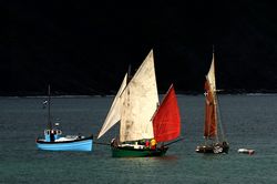 Looe Lugger Regatta