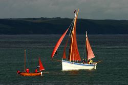 Looe Lugger Regatta