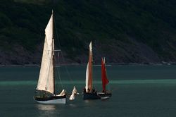 Looe Lugger Regatta