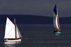 Looe Lugger Regatta - CM 2924 - La Nebuleuse