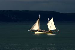 Looe Lugger Regatta