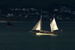 Looe Lugger Regatta