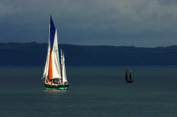 Looe Lugger Regatta - CM 2924 - La Nebuleuse