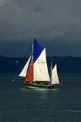 Looe Lugger Regatta