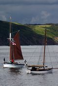 Looe Lugger Regatta