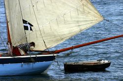 Looe Lugger Regatta - FY59 - Reliance