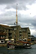 Looe Lugger Regatta