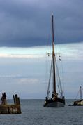 Looe Lugger Regatta