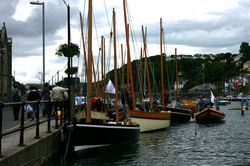 Looe Lugger Regatta