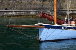 Looe Lugger Regatta - Bows and Sterns