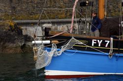 Looe Lugger Regatta - Bows and Sterns