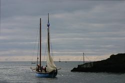 Looe Lugger Regatta