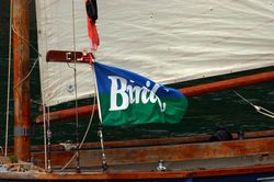 Looe Lugger Regatta - Bows and Sterns