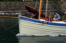 Looe Lugger Regatta - Bows and Sterns