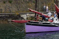 Looe Lugger Regatta - Rowing PZ111