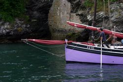 Looe Lugger Regatta - Bows and Sterns