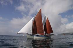 Looe Lugger Regatta - PD393 Ocean Pearl