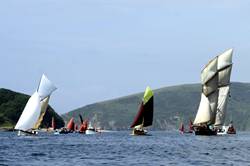 Looe Lugger Regatta - start of the first race